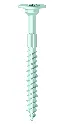 RAPID_SSFKopf_kurz.webp