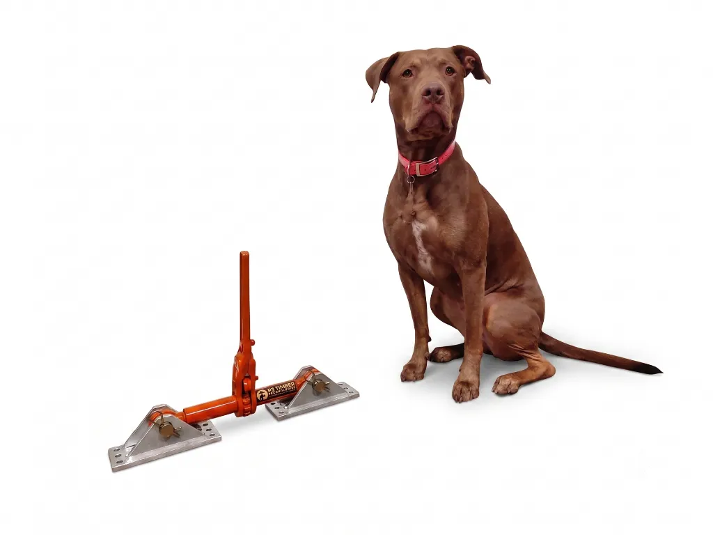 timber dogg with Abby.webp